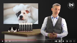 2022-08-29 19_07_14-In-Fluence Produktevideo Shampoo - YouTube