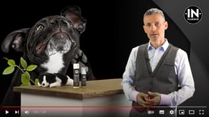 2022-08-29 19_10_07-In-Fluence Produktevideo Anti Parasit Shampoo - YouTube