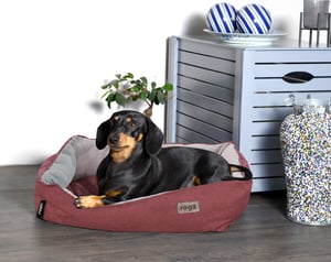 Cosmo Pod_Lifestyle_1