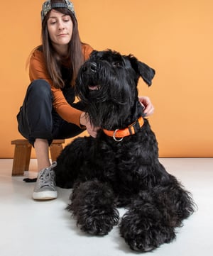 Fancy Dress Classic Collar_Orange Doodle_Lifestyle_1-1