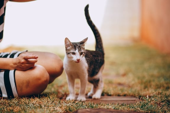 pexels-helena-lopes-7980660