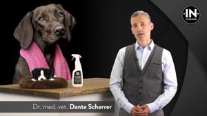 IN-FLUENCE Video Umgebungshygiene