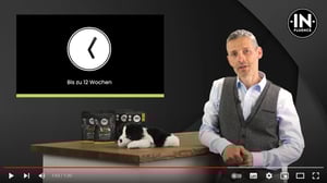 2022-08-29 19_54_35-In-Fluence Produktevideo Anti Collar - YouTube