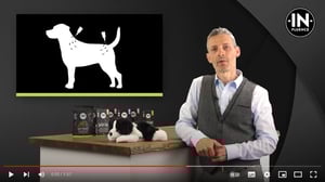 2022-08-29 19_55_13-In-Fluence Produktevideo Spot-On - YouTube