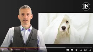 IN-FLUENCE Produktvideo Bachblüten