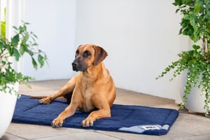 Lekka Flat Mat_Lifestyle_Navy 1
