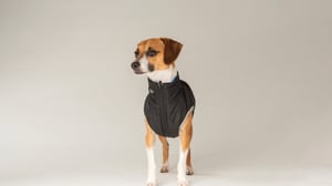 PufferSkins Lifestyle - Black_16_9_V2
