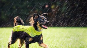 RainSkin Waterproof Poncho_DayGlo_Lifestyle_7-1