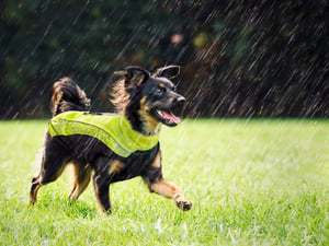 RainSkin Waterproof Poncho_DayGlo_Lifestyle_7