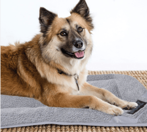 Rogz Utility Mat