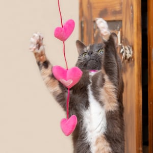 Rogz-Plush-Cat-Toy-Hearts-Teaser-One-Size-Pink-Lifestyle-1