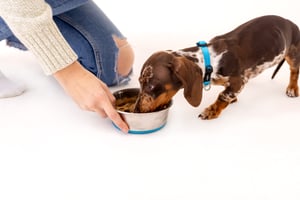 Slurp Stainless Steel Bowl_Turquoise_Lifestyle_1