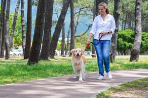 Utility Control Lead_Red_Lifestyle_1-1