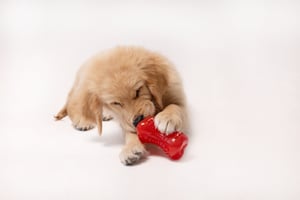 Yumz Chew Toy_Red_Lifestyle_4