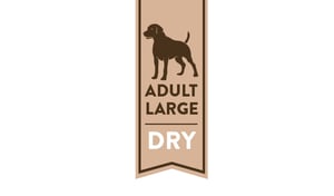 adult-large-dog