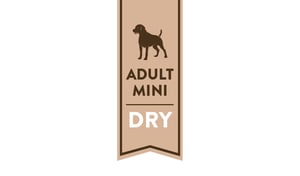 adult-mini-dog