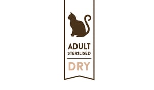 adult-sterilised-cat