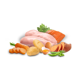 forest-and-sea-sterlised