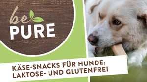 bePURE_Video-Kaese-Snack_Hunde