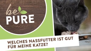 bePURE_Video-Nassfutter-Katze