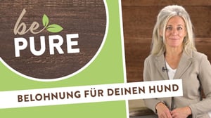 bePURE_Video_Belohnung fuer Hund