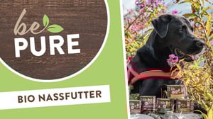 bePURE_Video_Bio-Nassfutter
