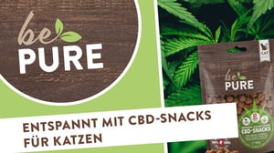bePURE_Video_CBD-Snack Katze