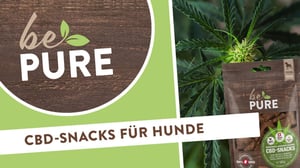 bePURE_Video_CBD-Snack_Hunde