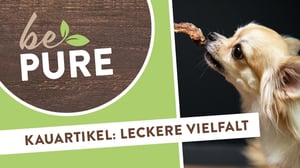 bePURE_Video_Kauartikel