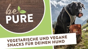 bePURE_Video_Vegan und Vegetarisch Hund