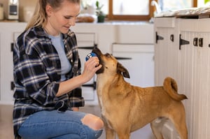 Rogz_Grinz_Recipes_Lifestyle_21