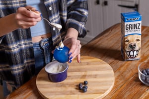 Rogz_Grinz_Recipes_Yoghurt_Blueberry