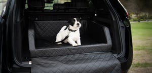Rogz_Kofferraumbett Chester_Lifestyle_3