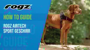 YouTube Thumbnails_How to Guide_Deutsch_Rogz AirTech Sport Harness